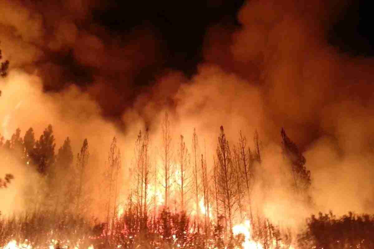 Arjantin’in güneyindeki Patagonya bölgesinde çıkan orman yangınlarında şu ana kadar