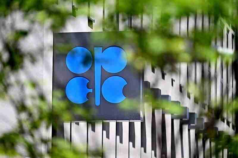 Brezilya’nın, Petrol İhraç Eden Ülkeler Örgütü (OPEC) ve OPEC dışı