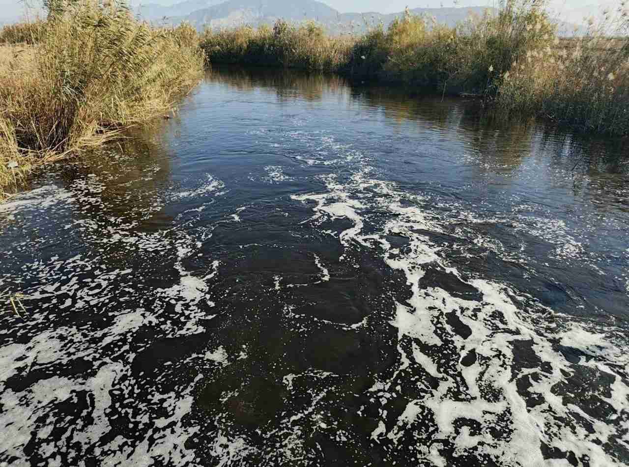 İzmir, Aydın, Denizli ve Uşak’tan geçen Büyük Menderes Nehri, artan