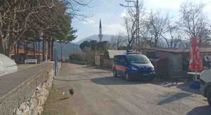 Çorum’un Kargı ilçesine bağlı Akkise köyünde, 80 yaşındaki Hatice Kış,