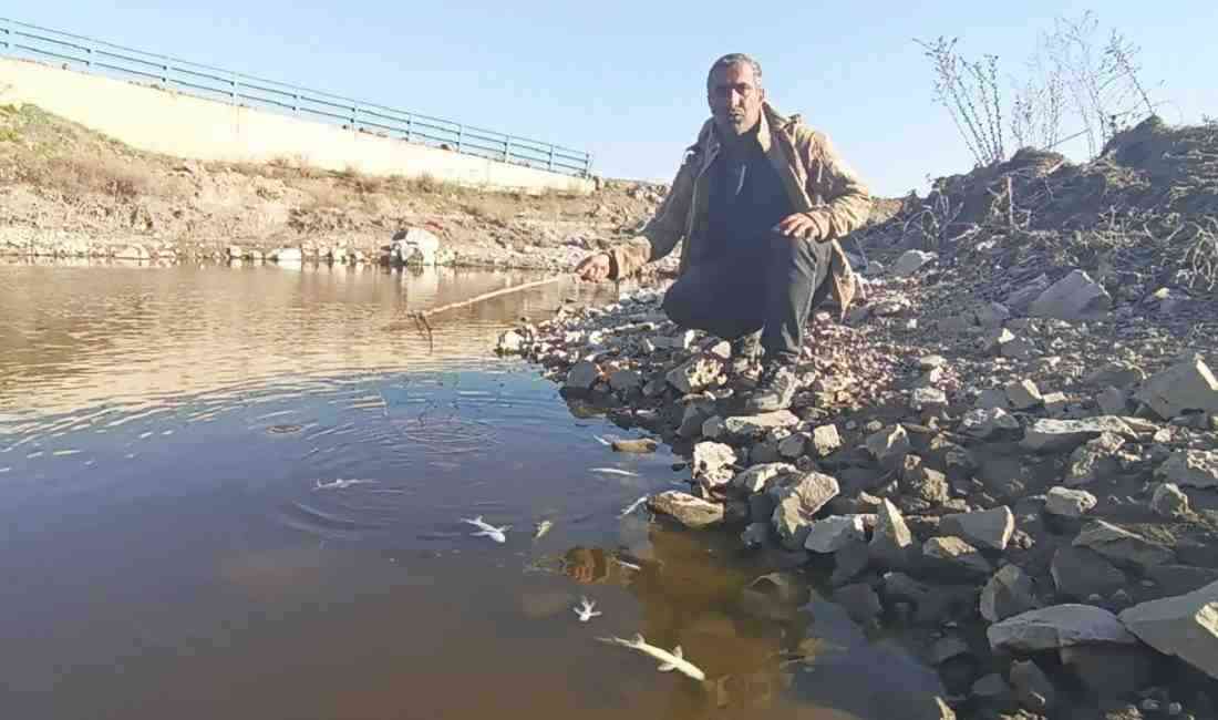 Gaziantep’in İslahiye ilçesinde, Karasu Çayı’nda meydana gelen su kirliliği ve