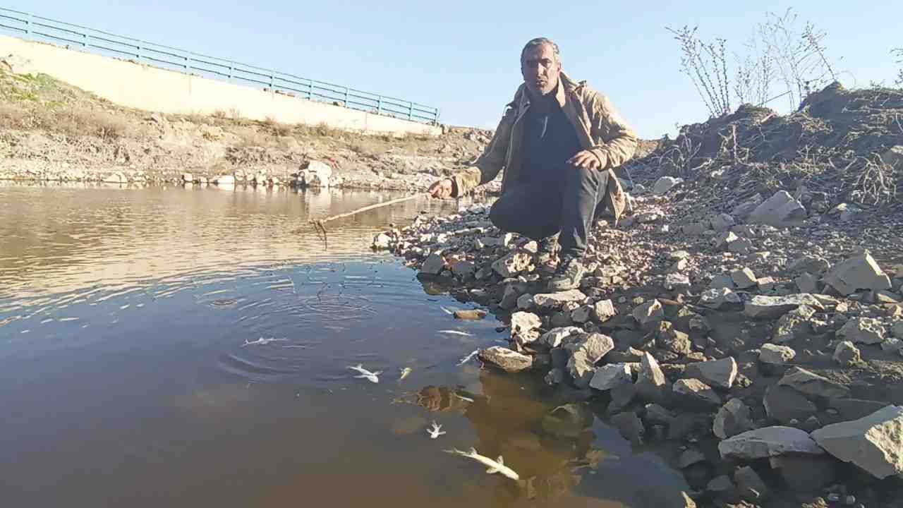 Gaziantep’in İslahiye ilçesinde, Karasu Çayı’nda meydana gelen su kirliliği ve