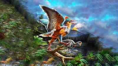 Çin Bilimler Akademisi’nden bir araştırma ekibi, Jura dönemine ait 149