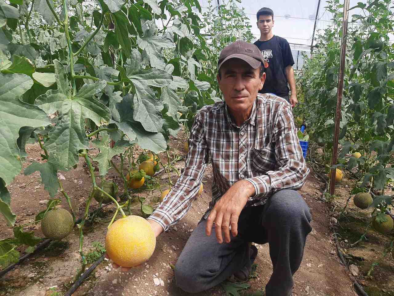 Seracı Ahmet Ünal, “Yapamazsın” Dediler, Başardı! Antalya’nın Kumluca ilçesinde seracılık