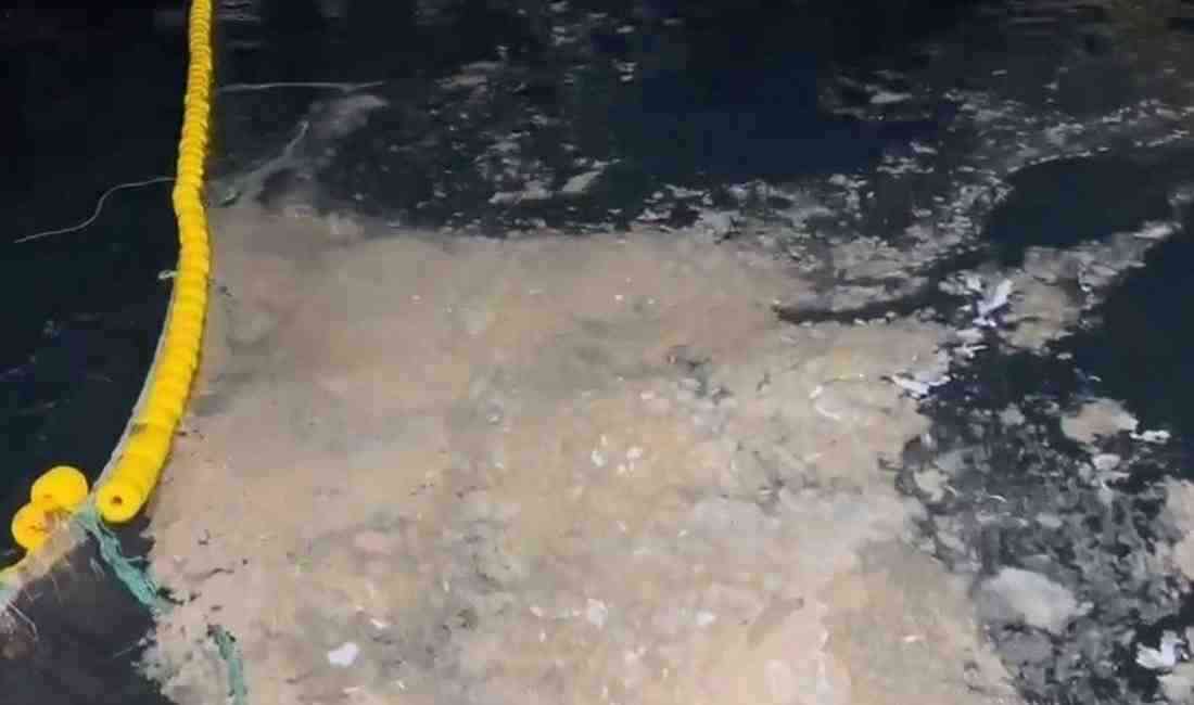 Balıkçılar Avlanmayı Bıraktı Çanakkale ve Marmara Denizi’nde müsilajın yeniden etkisini