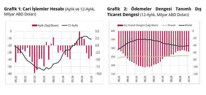 Türkiye Cumhuriyet Merkez Bankası (TCMB), Ocak 2025 dönemine ait ödemeler