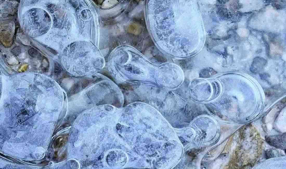 Çinli bilim insanları, Antarktika’da yapılan araştırmalar sonucunda 6 yeni bakteri