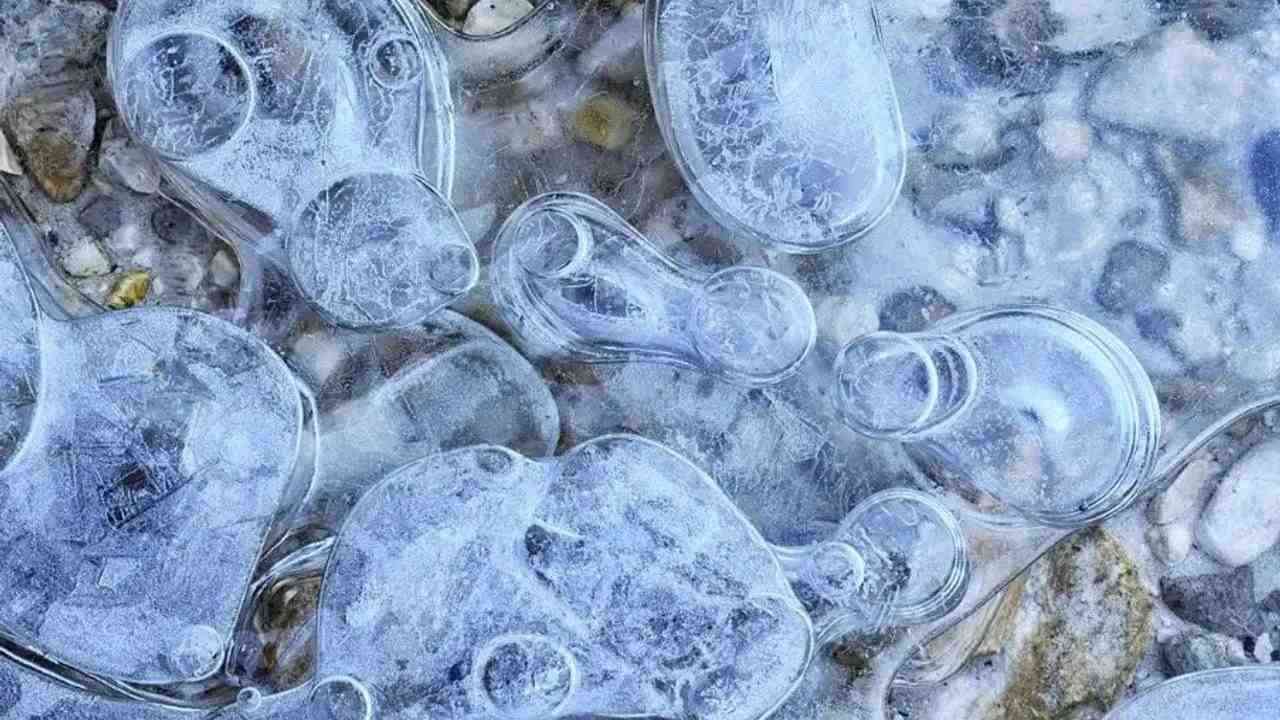 Çinli bilim insanları, Antarktika’da yapılan araştırmalar sonucunda 6 yeni bakteri