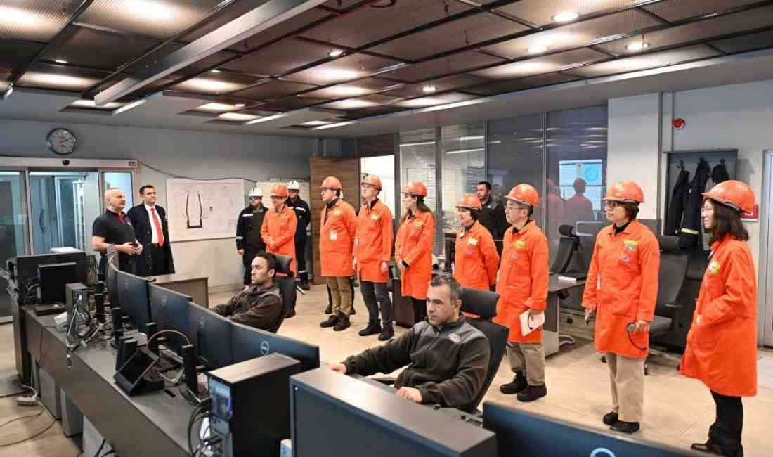 Dünya Çelik Birliği’nin (World Steel Association) üyesi olan Erdemir, Türkiye’de