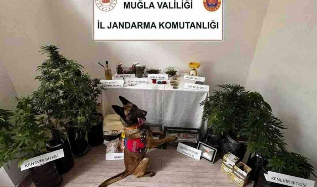 Şüpheli Hakan Atakır Tutuklandı Muğla’nın Marmaris ilçesinde düzenlenen uyuşturucu operasyonunda