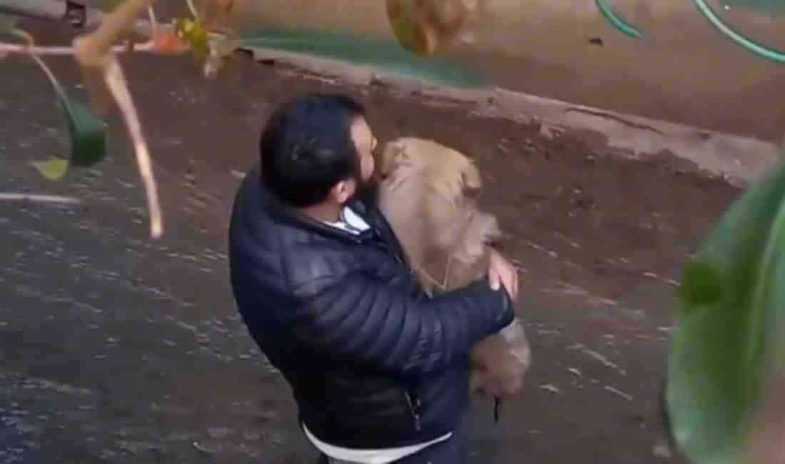 Kurbağalıdere’ye Düşen Köpeğini Kurtarmaya Çalıştı İstanbul Ataşehir’de taksi durağında bakılan