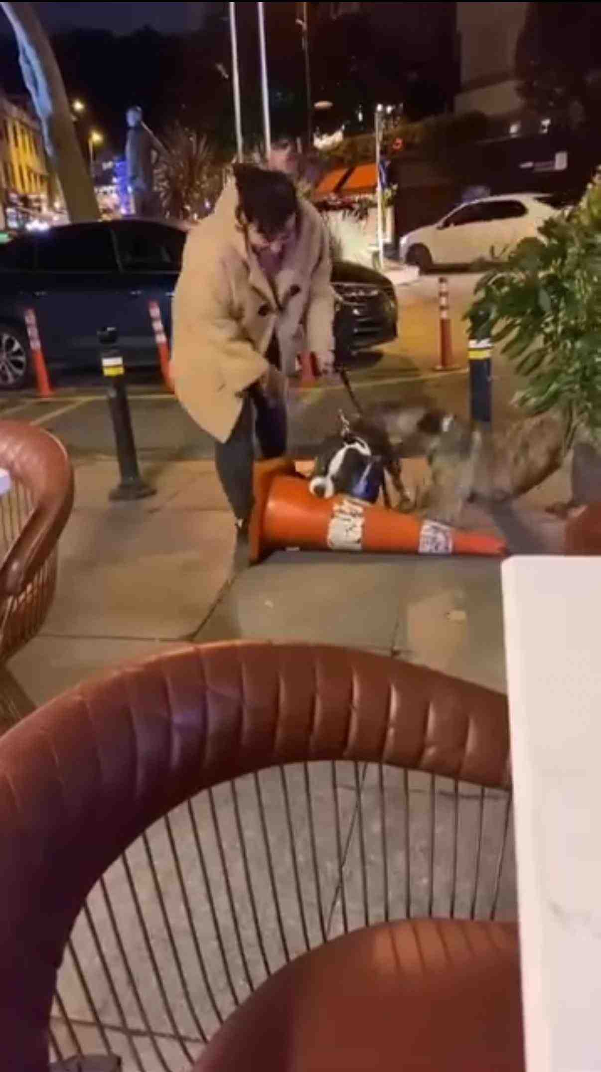 Beşiktaş Bebek’te, ağızlıksız gezdirilen pitbull cinsi köpek, kaldırımdaki dubaya saldırarak