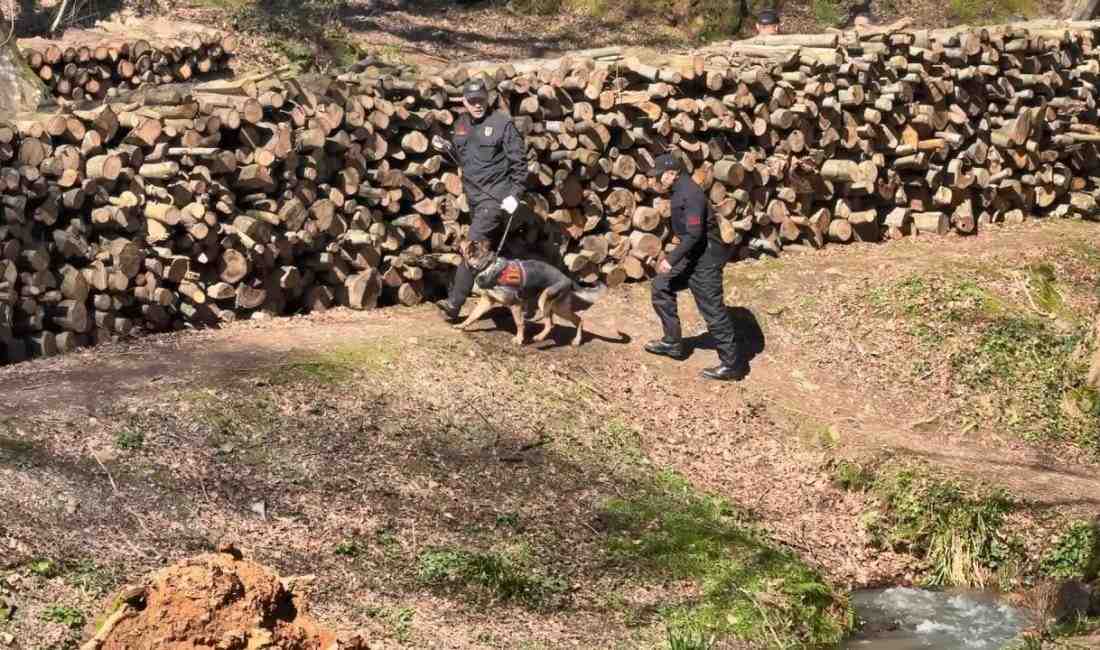 İstanbul’da Pazar günü öğle saatlerinde evinden ayrıldıktan sonra arkadaşına Belgrad