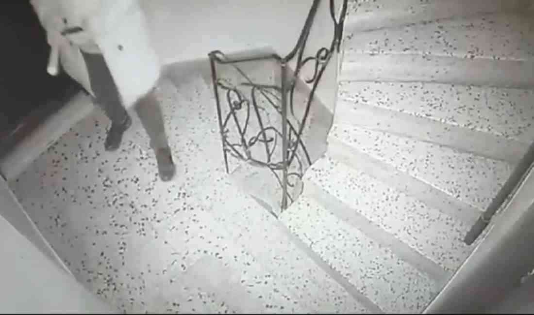 Zeytinburnu’nda Servet Dağeşen (44) ile üst komşusu Zeynep A. (71)