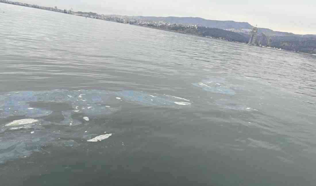 Çevre, Şehircilik ve İklim Değişikliği Bakanlığı, İzmir’de vinç bakım sırasında