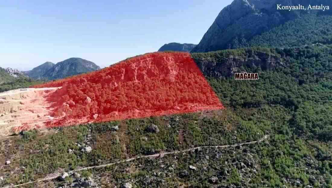 Antalya’nın Boğaçayı Havzası’nda, genişleme başvurusu sonuçlanmadan ormanda kaçak ağaç kesimi