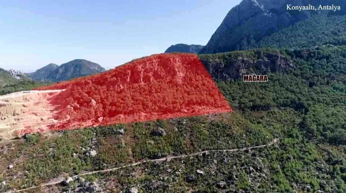 Antalya’nın Boğaçayı Havzası’nda, genişleme başvurusu sonuçlanmadan ormanda kaçak ağaç kesimi