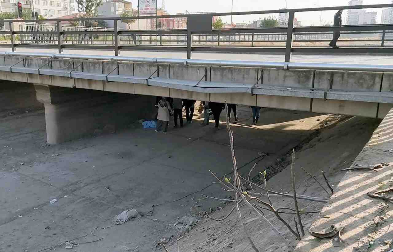 Başından Vurulmuş Halde Bulundu Adana’nın Seyhan ilçesinde, DSİ’ye ait sulama