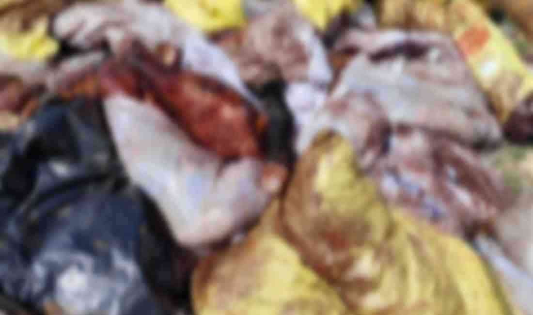 Mardin’in Derik ilçesinde kesilen at ve eşek etlerini satmak isteyen