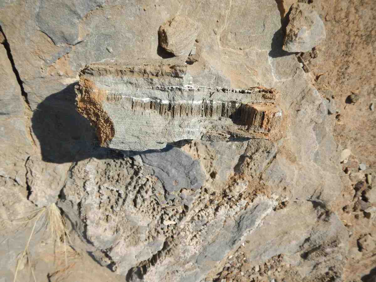Bilim insanları, Güney Afrika ve Arap Yarımadası’ndaki çöllerde bulunan kayalıklarda