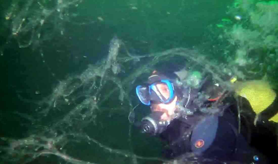 Deniz Ekosistemi Büyük Tehdit Altında Marmara Denizi’nde 2021 yılında görülen