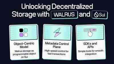 İnternetin veri yönetimini kökten değiştirmeyi hedefleyen Walrus, Mainnet lansmanı ile