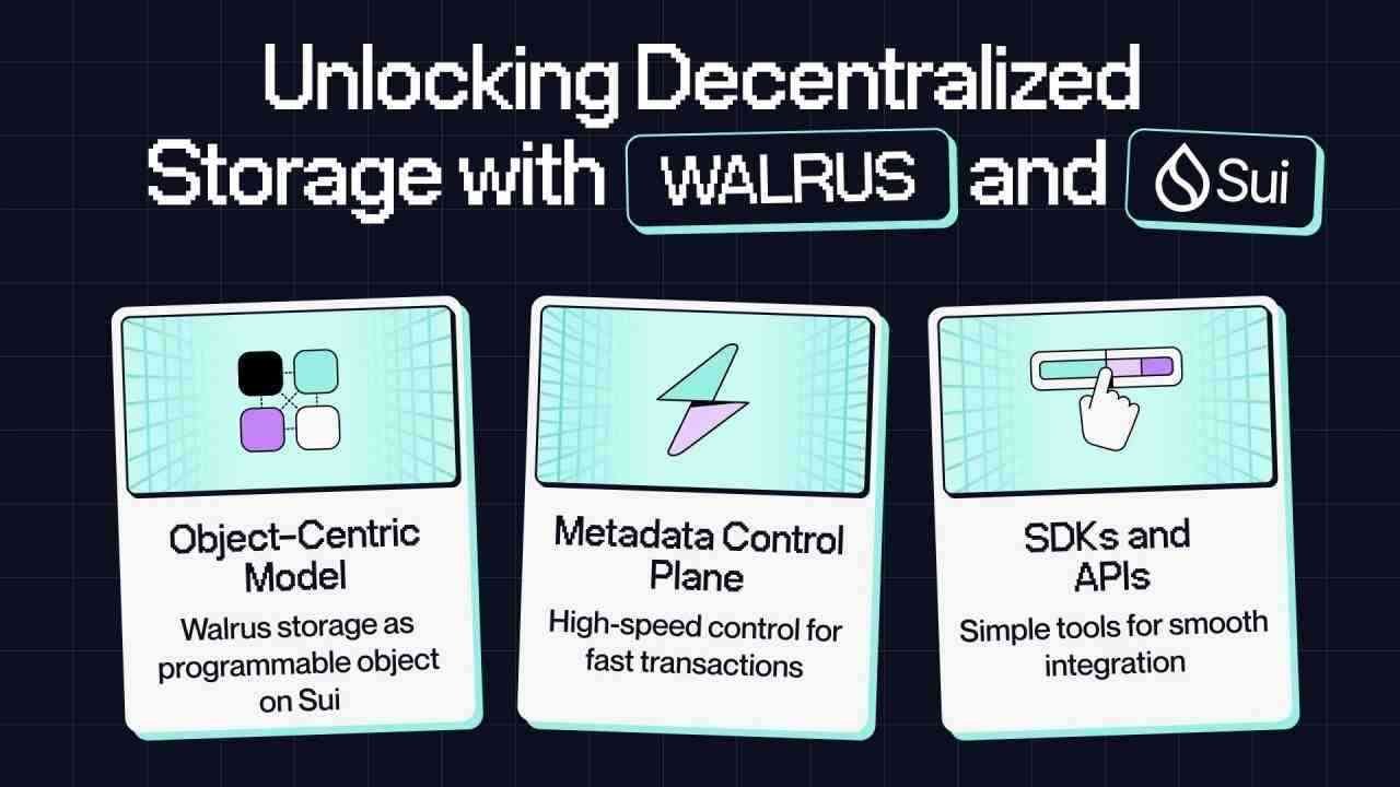 İnternetin veri yönetimini kökten değiştirmeyi hedefleyen Walrus, Mainnet lansmanı ile