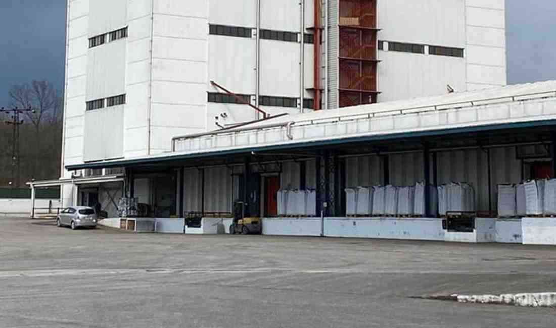 Sakarya’nın Hendek ilçesinde bir fındık fabrikasının çatısında çalışırken 15 metre