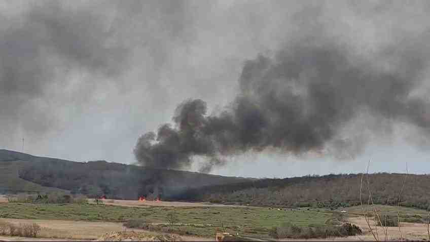 Yangın Ormana Sıçramadan Söndürüldü Sakarya’nın Kaynarca ilçesi Arifağa mevkisinde, Kanlı