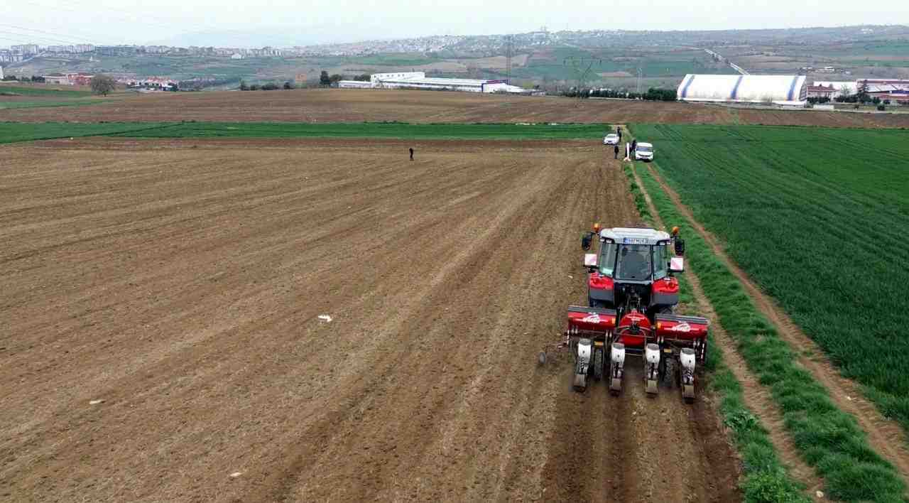 Çiftçiler Tohumları Toprakla Buluşturdu Türkiye’nin en önemli yağlık ayçiçeği üretim