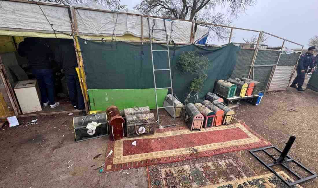 Tekirdağ’da jandarma ekipleri tarafından bir çiftliğe düzenlenen operasyonda horoz dövüştürdüğü