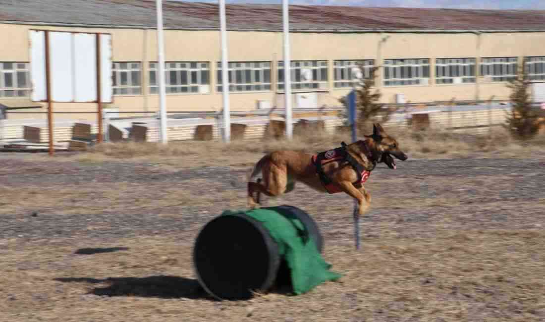 6 Şubat Depremlerinde 37 Kişiyi Kurtardılar Türk Silahlı Kuvvetleri (TSK)