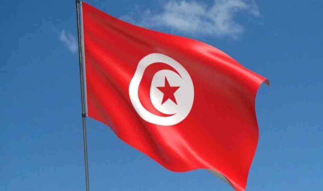 Tunus Cumhurbaşkanı Kays Said, bir yıldan kısa süredir görevde olan