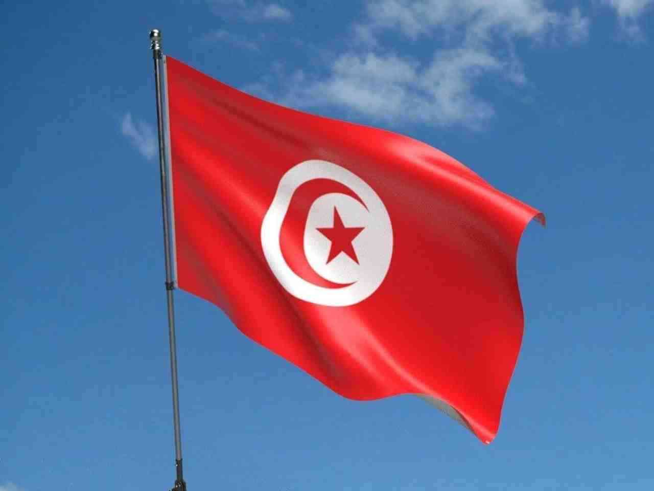 Tunus Cumhurbaşkanı Kays Said, bir yıldan kısa süredir görevde olan