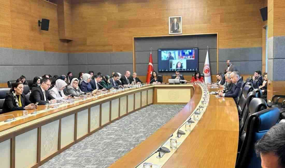 Türkiye Büyük Millet Meclisi (TBMM) Yapay Zeka Araştırma Komisyonu toplantısında
