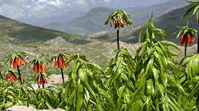 Terörün Bitmesiyle Bölge Turizmi Canlandı Siirt’in Şirvan ilçesine bağlı Becevan