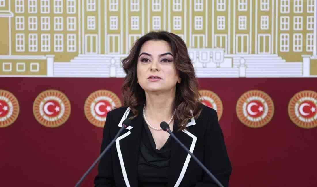 Görüşmede ceza infaz hukuku ve yasal süreçler ele alınacak