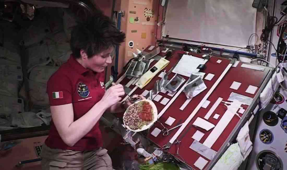 Uzayda Yemek Üretiminin İlk Adımları Atılıyor Avrupa Uzay Ajansı (ESA)