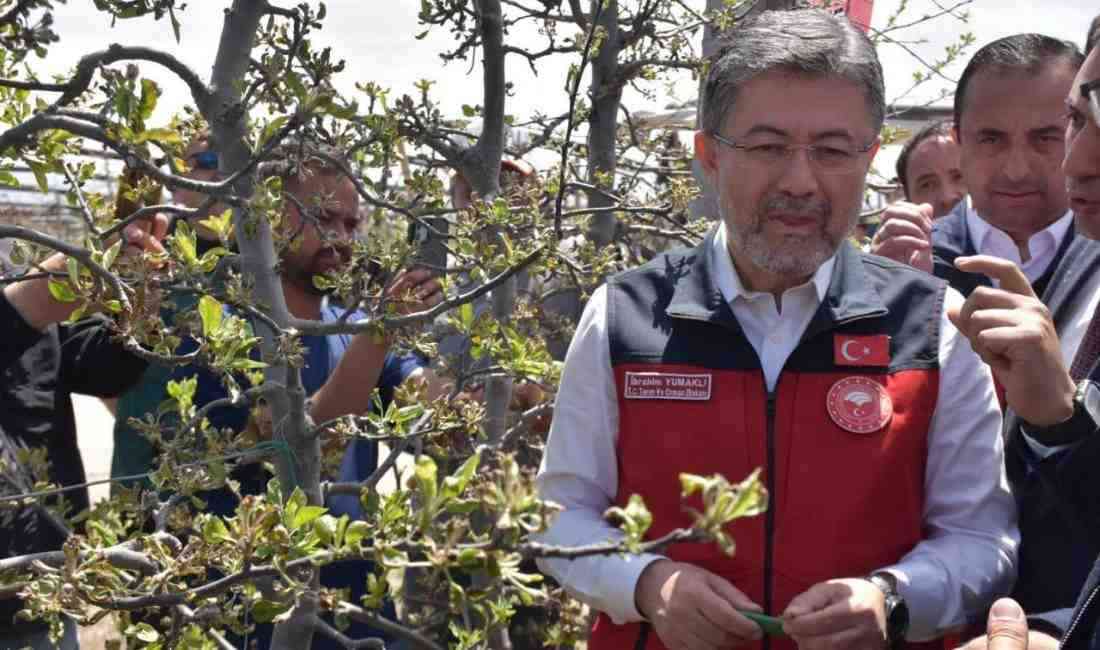 Tarım ve Orman Bakanı İbrahim Yumaklı, geçtiğimiz hafta zirai don