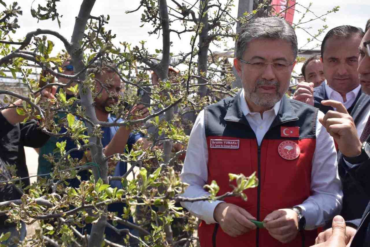 Tarım ve Orman Bakanı İbrahim Yumaklı, geçtiğimiz hafta zirai don
