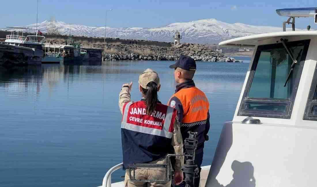 Van Gölü’nde sadece bu bölgede yaşayabilen inci kefalleri, üreme dönemiyle