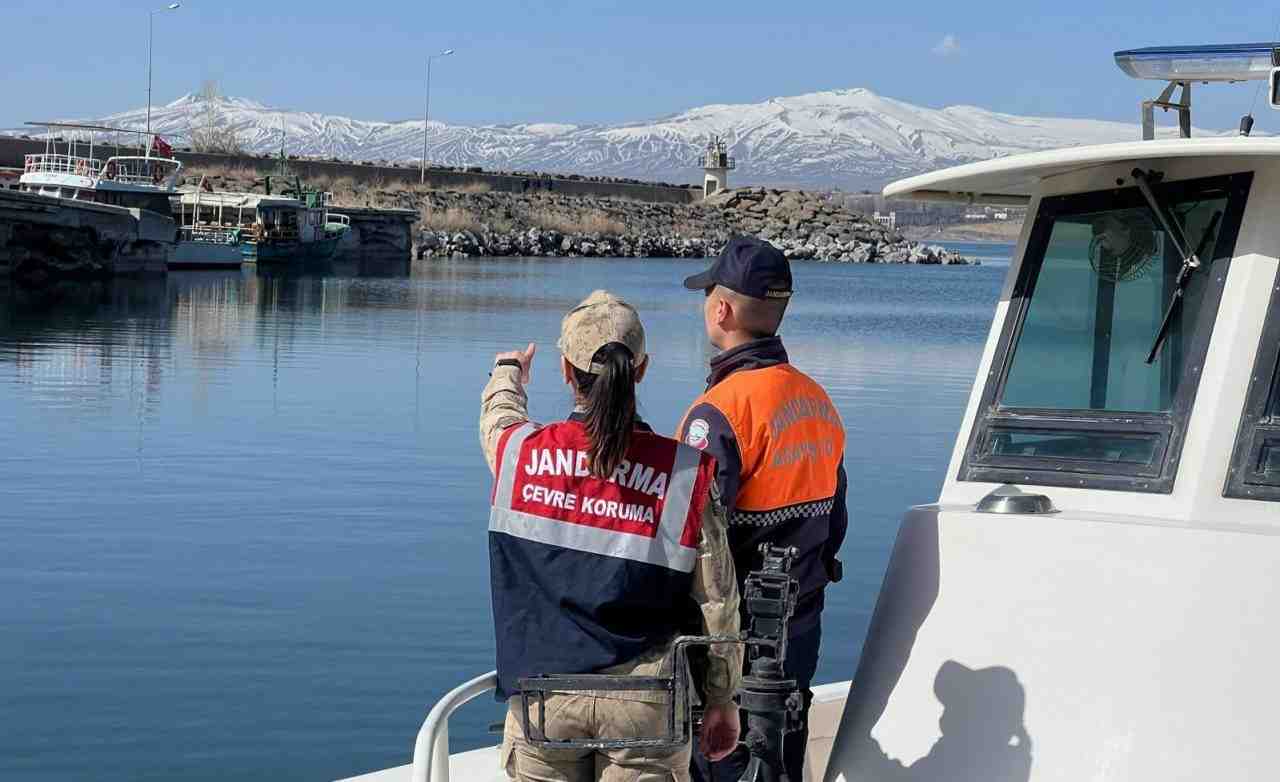 Van Gölü’nde sadece bu bölgede yaşayabilen inci kefalleri, üreme dönemiyle