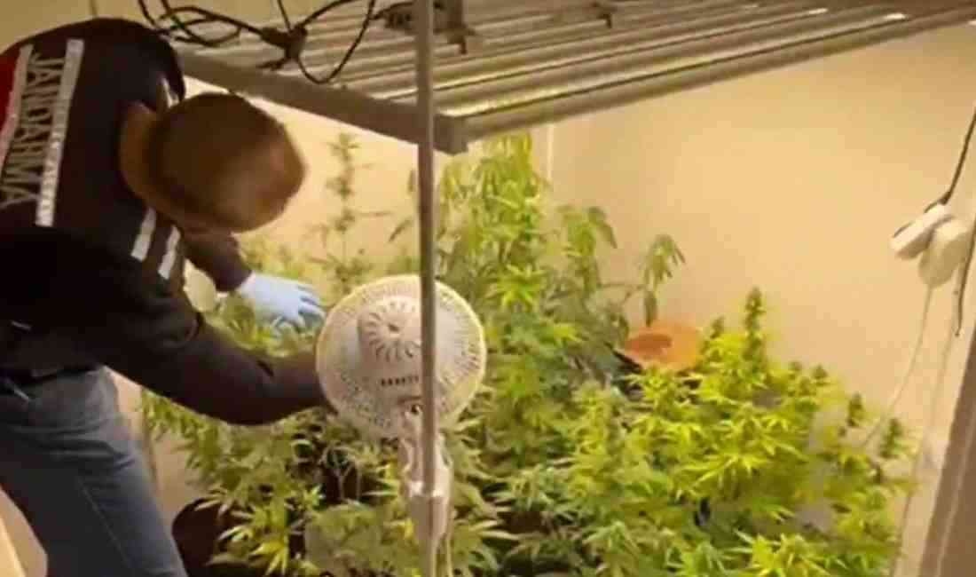 Bursa’da İl Jandarma Komutanlığı ekipleri tarafından yılın ilk 3 ayında