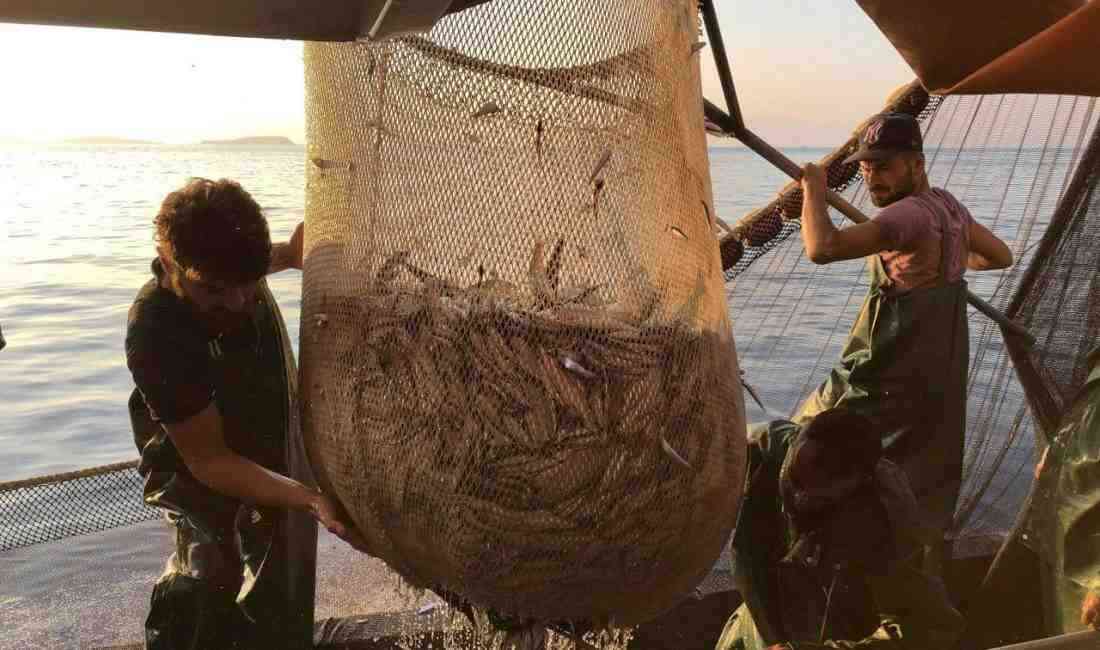 Ege Denizi’nde su ürünleri kaynaklarının korunması amacıyla uygulanan av yasağı,