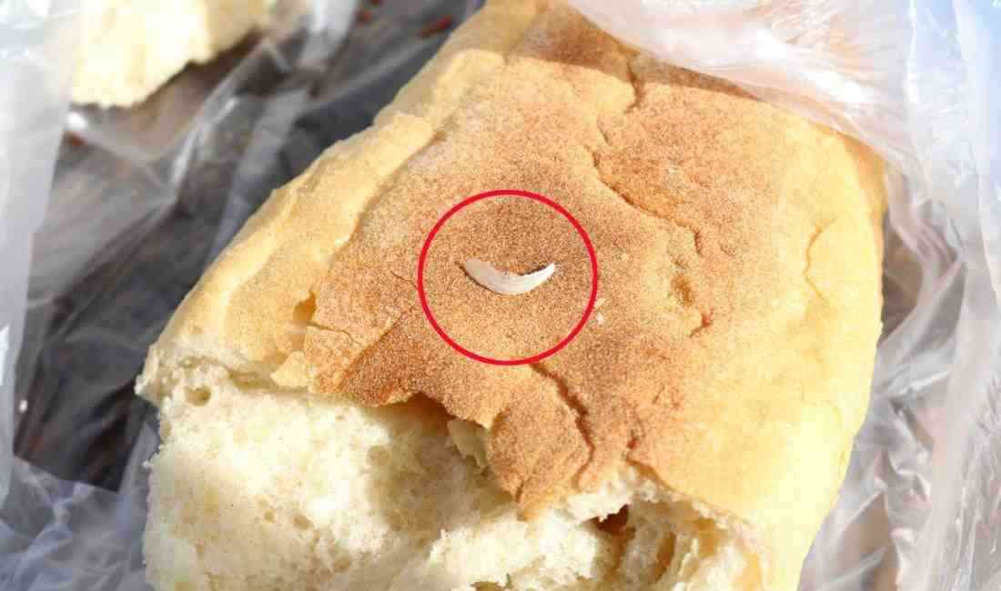 Antalya’da yaşayan Semih Can Akgümüş (33), bir fırından aldığı ekmeğin