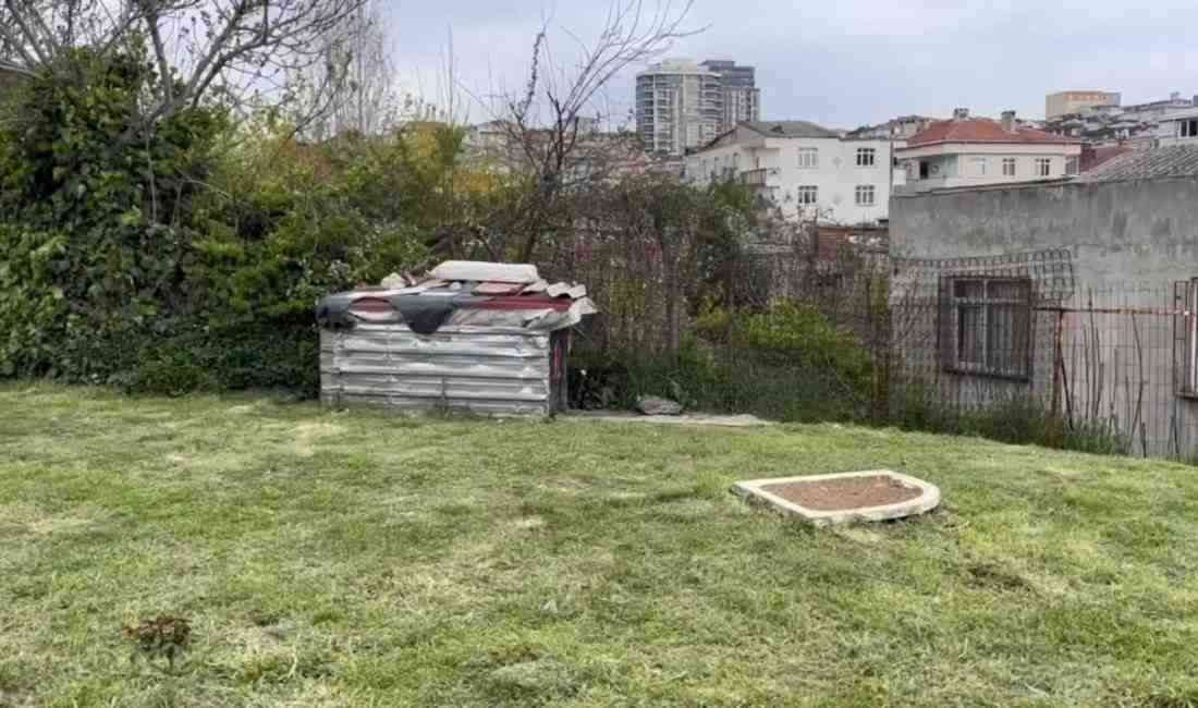 Küçükçekmece’de arkadaşlarıyla birlikte boş arazide kuş besleyen 15 yaşındaki bir