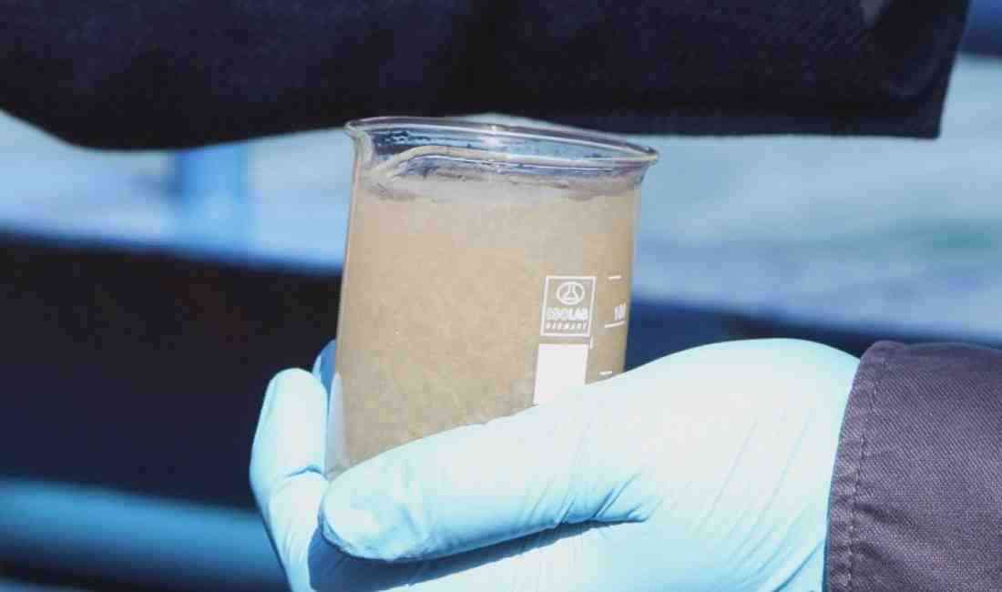 Marmara Denizi’nde müsilajın yeniden görülmesi üzerine, alanında uzman akademisyenlerden oluşan