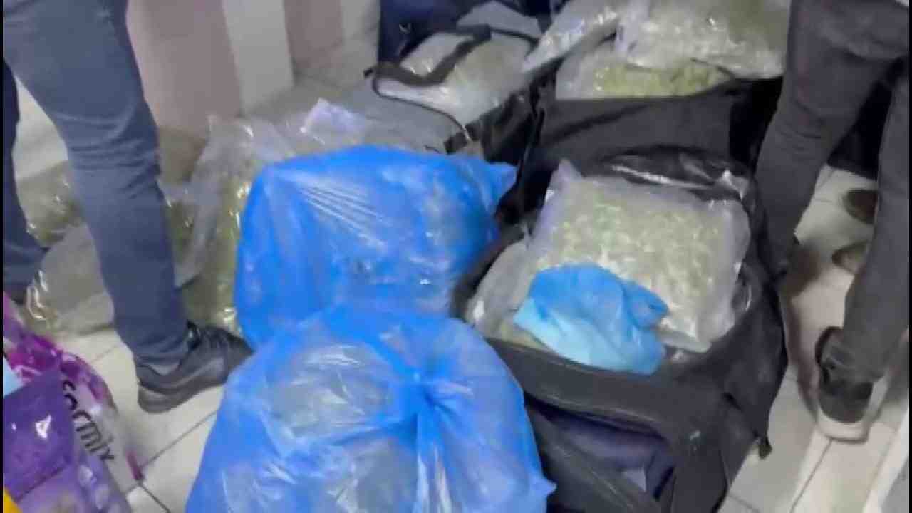 İstanbul Kartal’da, petshop olarak faaliyet gösteren bir iş yerine düzenlenen