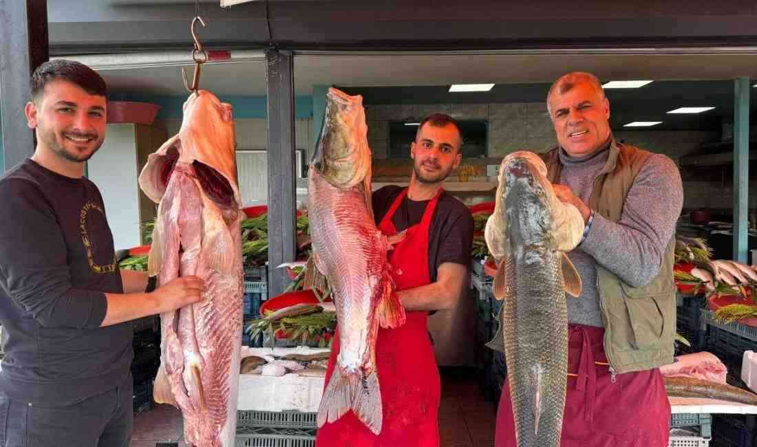 Diyarbakır’da balık işletmecisi Özgür Altaş, bayram tatilinde kuzenleriyle birlikte gittiği