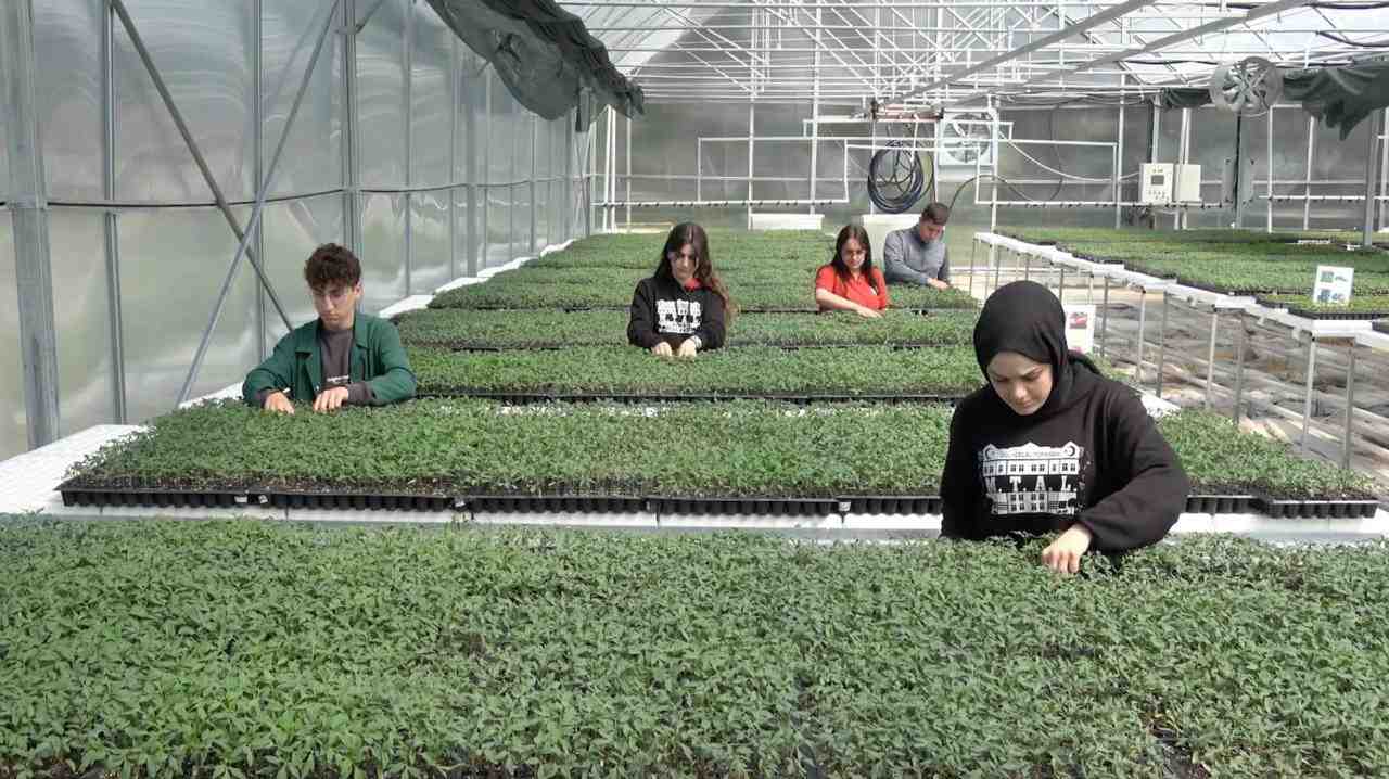 Uygulamalı Tarım Eğitimiyle Sera BaşarısıErzincan Gül Celal Toraman Mesleki ve